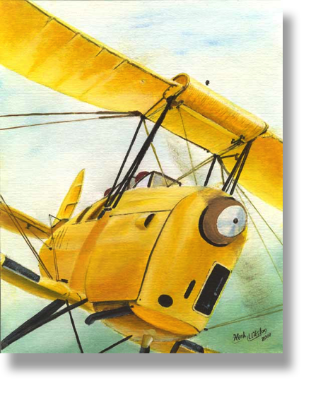 Tiger Moth
Oil on Oilpaper
20 x 30 cm
framed
