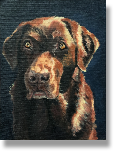 Labrador (Opdracht)
Oilpaint on canvasboard
18 x 24 cm
Verkocht.